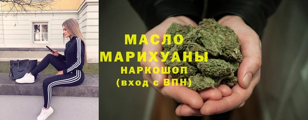 индика Бронницы
