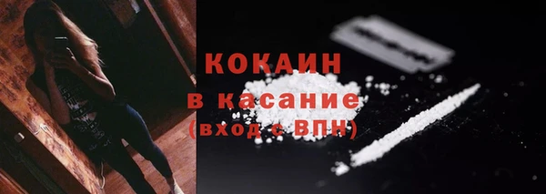 стафф Богородск