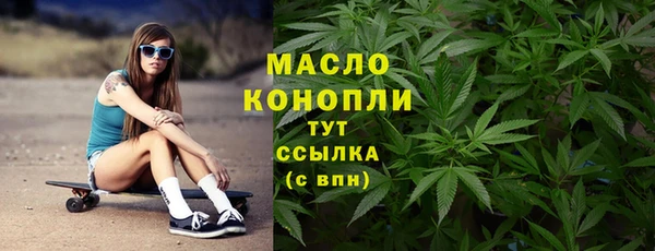 индика Бронницы