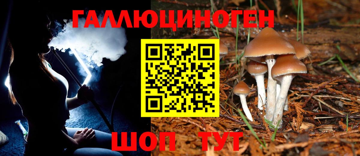 Галлюциногенные грибы MAGIC MUSHROOMS Минеральные Воды